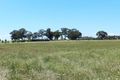 Property photo of 1614 McIvor Highway Longlea VIC 3551