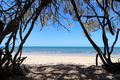 Property photo of 13 Pelican Way Woodgate QLD 4660