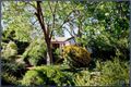 Property photo of 26 Cullen Street Watson ACT 2602