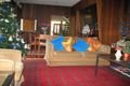 Property photo of 19 Irwin Crescent Bexley North NSW 2207