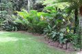 Property photo of 2 Gregory Terrace Kuranda QLD 4881