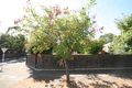 Property photo of 11 Coolidge Avenue Lower Mitcham SA 5062