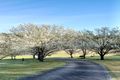 Property photo of 827 Princes Highway Mogo NSW 2536
