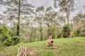Property photo of 21 Wychwood Grove Upper Sturt SA 5156