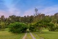 Property photo of 4 Tea Tree Close Samford Valley QLD 4520