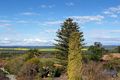 Property photo of 22 Mengarvie Road Parkes NSW 2870