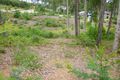 Property photo of 22 Litchfield Crescent Long Beach NSW 2536
