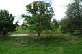 Property photo of 115 Tunstall Road Mount Alford QLD 4310
