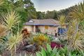 Property photo of 8 Echo Court Buderim QLD 4556