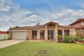 Property photo of 20 Corypha Crescent Calamvale QLD 4116