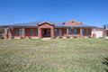 Property photo of 12 Elm Avenue Wangaratta VIC 3677