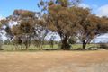 Property photo of 7 Reed Court Numurkah VIC 3636