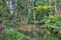 Property photo of 25 Victor Avenue Palmview QLD 4553