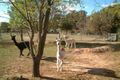 Property photo of 90 Gibraltar Street Bungendore NSW 2621