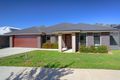 Property photo of 13 Chatham Road Leneva VIC 3691