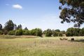 Property photo of 155 Ritchie Street Westbury TAS 7303