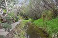 Property photo of 41 Norman Road Willunga SA 5172