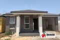 Property photo of 9 Lennox Street The Ponds NSW 2769