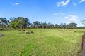 Property photo of 50A Persoonia Avenue Agnes Banks NSW 2753