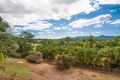 Property photo of 4 Himalaya Close Mount Sheridan QLD 4868