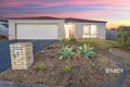 Property photo of 9 Copper Crescent Griffin QLD 4503
