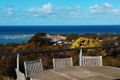 Property photo of 22 Fifth Avenue Anglesea VIC 3230