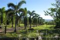 Property photo of 544 East Feluga Road East Feluga QLD 4854