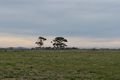 Property photo of 216 Glen Avon Drive Bannockburn VIC 3331