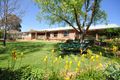 Property photo of 14 Casuarina Drive Orange NSW 2800