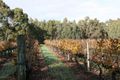Property photo of 79 Bisdee Road Millendon WA 6056