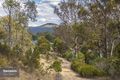 Property photo of 345 Woolleys Road Lonnavale TAS 7109