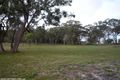 Property photo of LOT 1 Crighton Road Dalveen QLD 4374