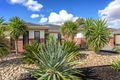 Property photo of 24 Caitlyn Drive Harkness VIC 3337