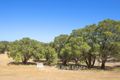 Property photo of 1 Felix Retreat Hamelin Bay WA 6288