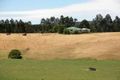 Property photo of 45 Lyness Road Carlisle River VIC 3239