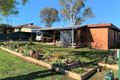 Property photo of 6 Arthur Avenue Barraba NSW 2347