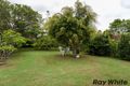 Property photo of 19 Hulme Street Virginia QLD 4014