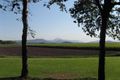 Property photo of 220 Clothiers Creek Road Nunderi NSW 2484