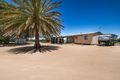 Property photo of 144 Arnold Coats Road Cobdogla SA 5346