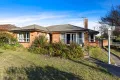 Property photo of 30 Bogong Avenue Glen Waverley VIC 3150