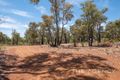 Property photo of 116 Grevillea Place Morangup WA 6083