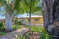 Property photo of 10 Phyllis Street Eastern Heights QLD 4305