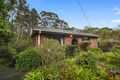 Property photo of 19 Nari Avenue Point Clare NSW 2250