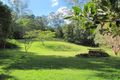 Property photo of 380 Little Bella Creek Road Bella Creek QLD 4570