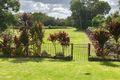 Property photo of 24 Dorothy Street Murwillumbah NSW 2484