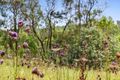Property photo of 24 Glenduart Grove Moruya NSW 2537