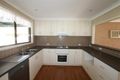 Property photo of 55 Jasmin Crescent Lake Albert NSW 2650
