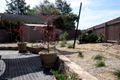 Property photo of 2/31 Wrenfordsley Place Latham ACT 2615