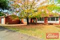 Property photo of 18 Fearn Street Toongabbie NSW 2146
