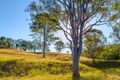 Property photo of 806 Eel Creek Road Langshaw QLD 4570